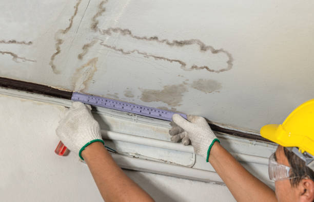 Reliable Water Removal contractor in Frederick, OK by Water Damage Irwin